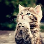 Robin Stotler-Borden - @stotlerborden - Instagram