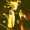 robin bosch826 - @robin.shish - TikTok