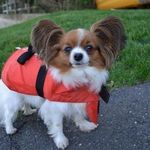 Robin Bosch - @rewlaw - Instagram