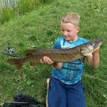 robin van den bosch - @robin20073 - Instagram