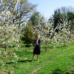 Robin Boswell - @treesforbees2017 - Instagram