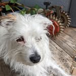 Robin Bower - @robinbower65 - Instagram