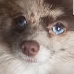 Robin Litz-Bower - @robinbower1313 - Instagram