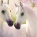 Robin Bowles - Facebook