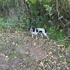 robinbowles755 - @robinbowles755 - TikTok