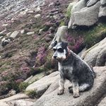 Robin Boyd - @boydr27 - Instagram