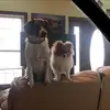 robinbraden90 - @robinbraden90 - TikTok