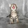 robinbrannon779 - @robinbrannon779 - TikTok