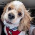 Robin Brasher - Facebook
