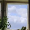 Robin Brattström - @robinbrattstrom - TikTok