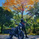 Robin Bravo Diaz - @robinbravodiaz - Instagram