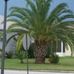 Robin Brazell - Facebook