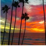 Robin Briscoe - @robin10801 - Instagram