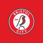 @bristol_city_robin - Instagram