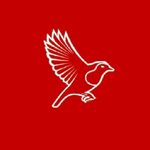 Bristol CityFC Supporters Page - @bristolcityrobins - Instagram