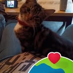 Robyn Brittingham - Facebook