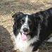 Robin Buckner - Facebook