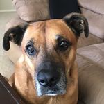 Tyson Buford Robins - @tyson_buford_robins - Instagram