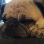 Robin Bunn - @robin.bunn.58 - Instagram