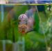 Robin Bunn - Facebook