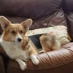 Robin Bunn - @robin.bunn - Instagram