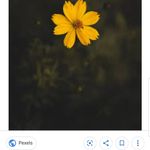 Robin Burdick - @grandmawho55 - Instagram