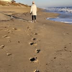 Robin Price Burdick - @robin.p.miller.1 - Instagram