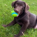 Robin Burgess - @robinburgess64 - Instagram
