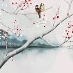 Robin Burgoon - @burgoonrobin - Instagram