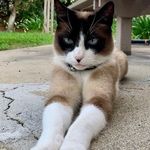 Robin McBurney - @mcburneyrobin - Instagram