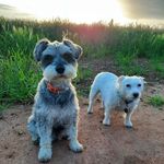Robin Busby - @robin.g.busby - Instagram