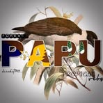 Robin Kanau - Facebook