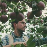 Robin Cairns - @robincairns - Instagram