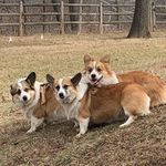 Robin Cairns Steinhauser - @r_steinhauser - Instagram