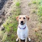 Robyn Cairns - Facebook