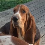 Robin Canada - @canada6181 - Instagram