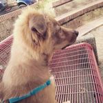 Robin Capers - @capers.robin - Instagram