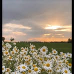 Robin Lee Cemers - Facebook