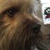Robin Capps - Facebook