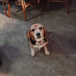 Robin Carey - @rcarey60 - Instagram