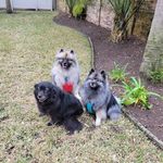 Robin Pappas Carey - @robin.carey.16 - Instagram