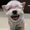 robincarey65 - @robincarey65 - TikTok
