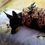 Robin Hughes Casper - @robinsmail65 - Instagram