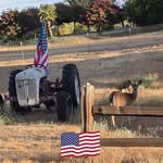 Robin Catalano - @rdcbears - Instagram