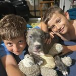 Robin Catling - @robincatling - Instagram