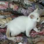 Robin Caton Bowers Messick - @rlmessick1 - Instagram