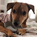 Robin Caudill - @robin.caudill.142 - Instagram