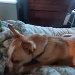 Robin Caudill - Facebook