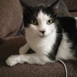 Robin Caudill - @robin.caudill.167 - Instagram