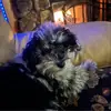 robincaudill80 - @robincaudill80 - TikTok